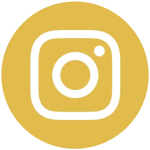 Instagram Icon